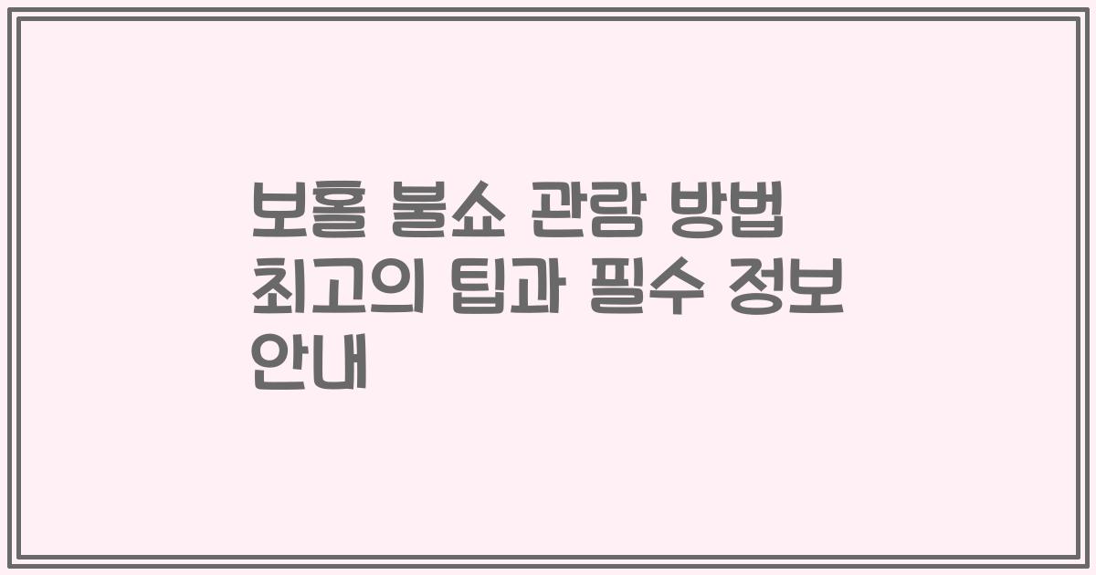 보홀 불쇼 관람 방법 최고의 팁과 필수 정보 안내
