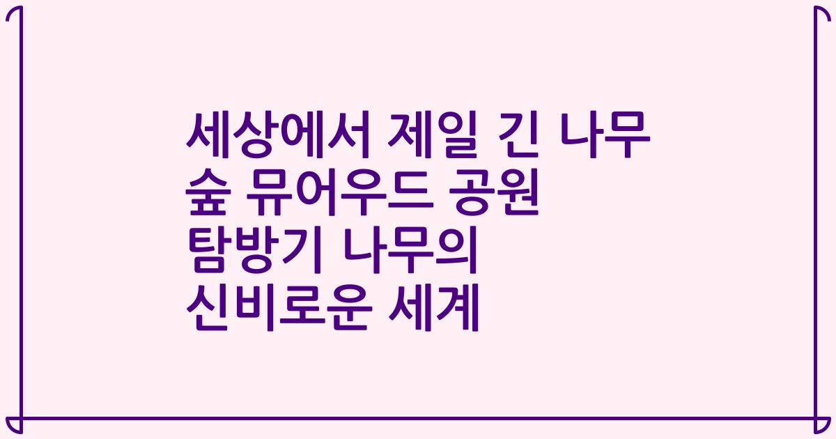 세상에서 제일 긴 나무 숲 뮤어우드 공원 탐방기 나무의 신비로운 세계