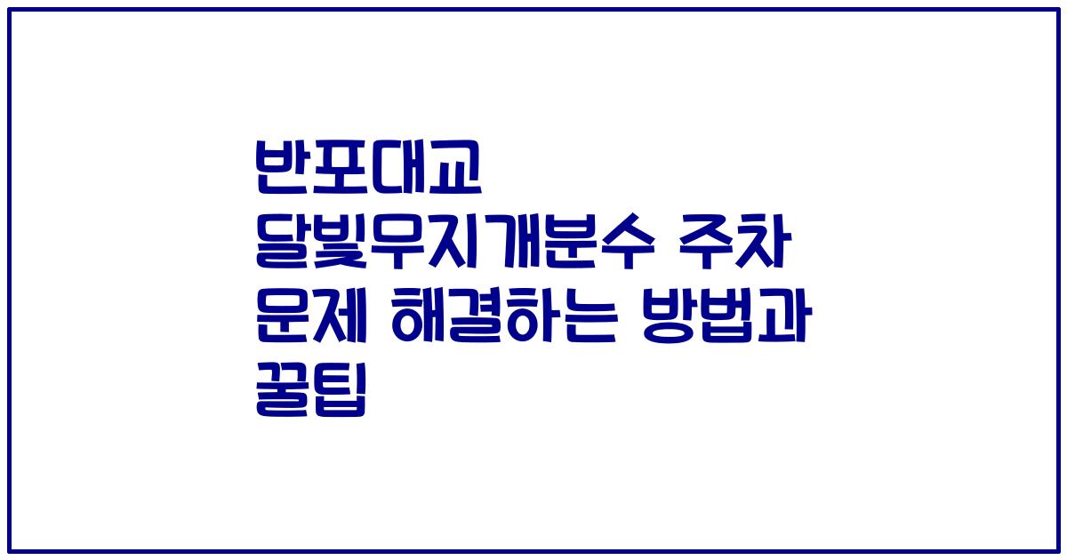 반포대교 달빛무지개분수 주차 문제 해결하는 방법과 꿀팁