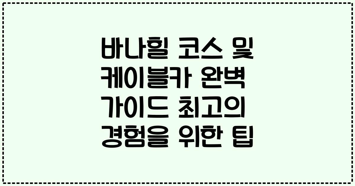 바나힐 코스 및 케이블카 완벽 가이드 최고의 경험을 위한 팁