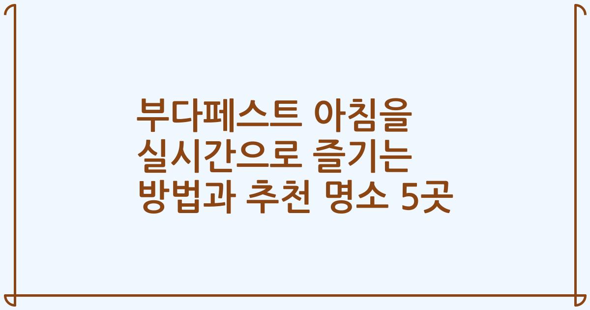 부다페스트 아침을 실시간으로 즐기는 방법과 추천 명소 5곳