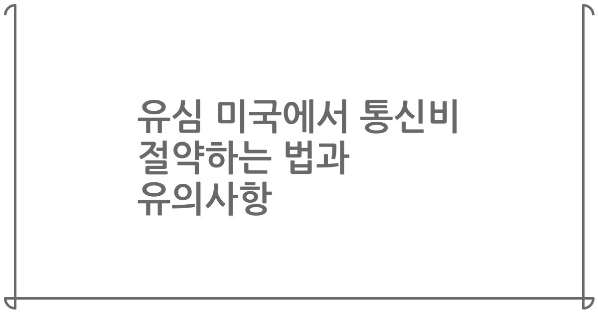 유심 미국에서 통신비 절약하는 법과 유의사항