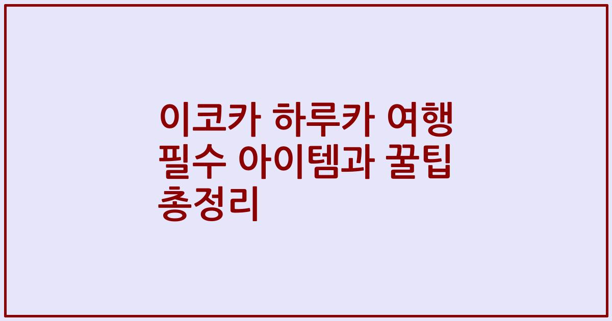 이코카 하루카 여행 필수 아이템과 꿀팁 총정리