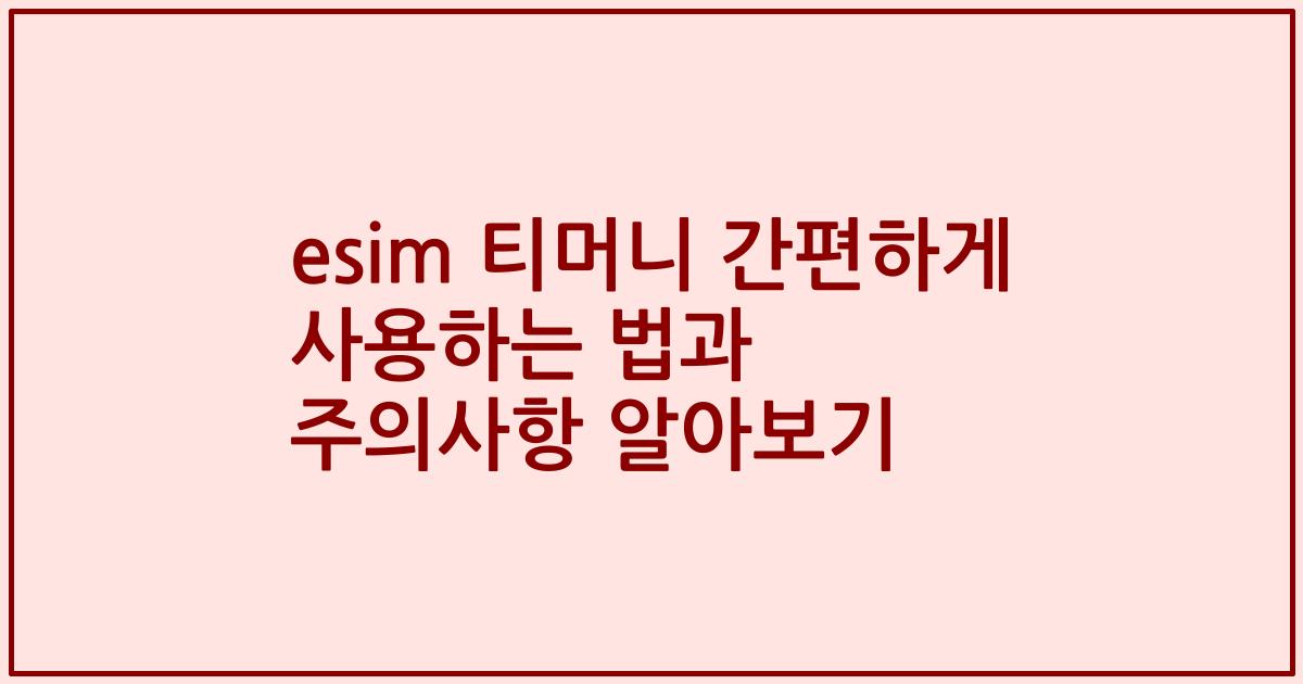 esim 티머니 간편하게 사용하는 법과 주의사항 알아보기