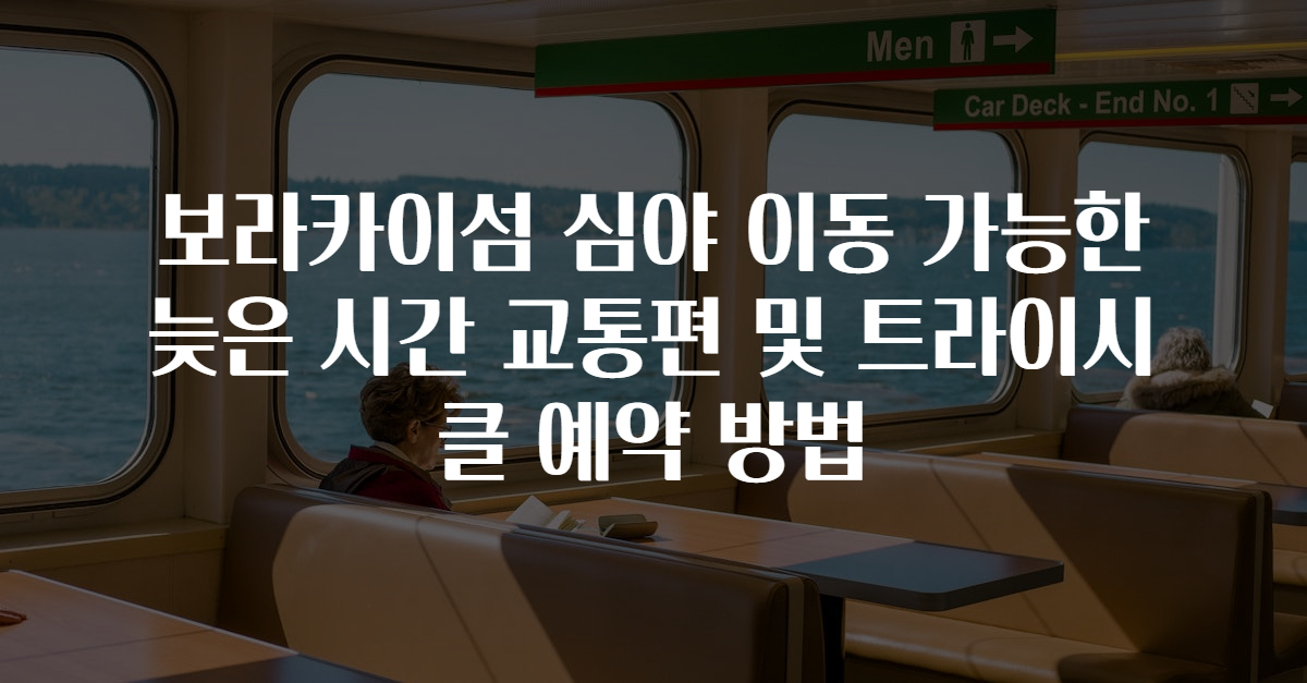 보라카이섬 심야 이동 가능한 늦은 시간 교통편 및 트라이시클 예약 방법